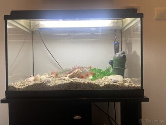 Akvarium