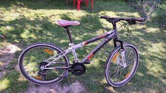 Bicykel Carratt makk 24