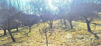 Chalupa s pozemkom 2357 m2 Zvolen- Tŕnie predaj