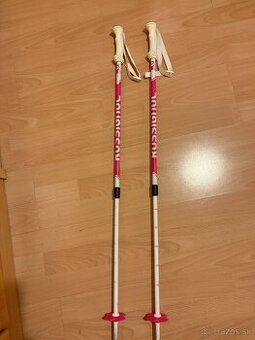 Lyžiarske palice