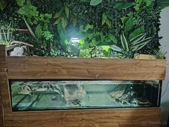 Predám akvárium