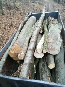 Predám palivové drevo buk dub hrab jaseň topoľ