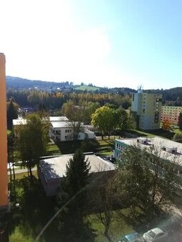 1 izbový byt SNP