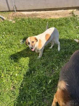 Mix