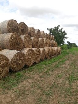 Balíky guľaté - lucerka