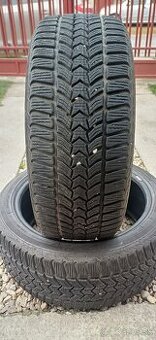 225/45 r18 zimné pneumatiky