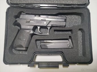 SIG P250 (9mm Luger)
