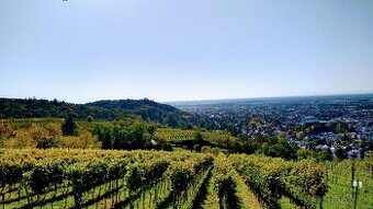 Hľadáme kuchára do domova dôchodcov v meste Lützelbach DE