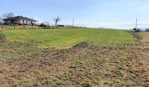 Mám záujem o kúpu pozemku v Zamagurí - Červený Kláštor