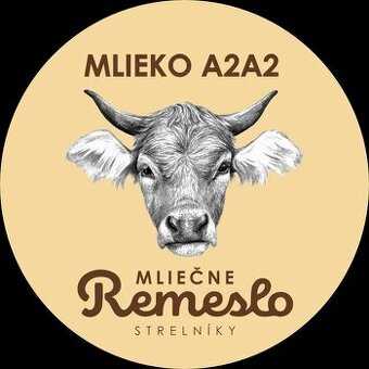 Syrár, syrárka do mliekarne