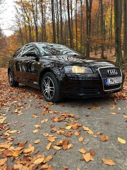 Audi A3 8P 1.9 TDI 3 Dverova