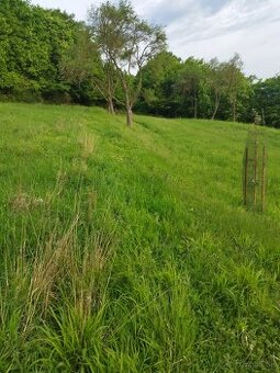 Na predaj rekreačný pozemok