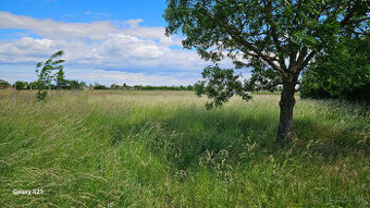 Na prenájom oplotený areál o výmere cca do 150 000m2,BA-5km