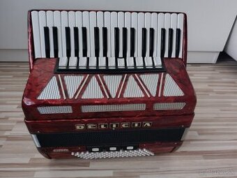 Delicia Carmen 96 basov, Top stav