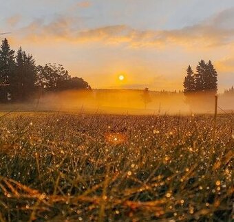 Ladomirov – 1.771 m2 INVESTIČNÉ pozemky – NA PREDAJ