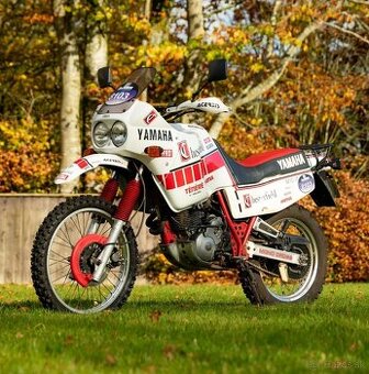 Kupim papiere na Yamaha xt600