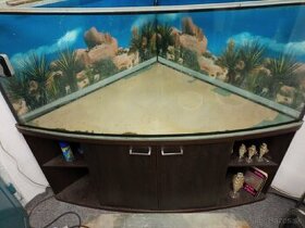 Rohové akvárium