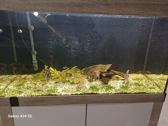 Akvarium