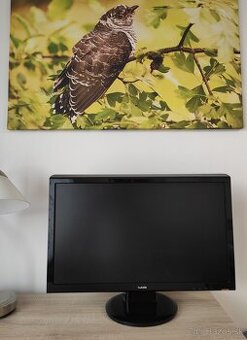 LCD monitor Asus