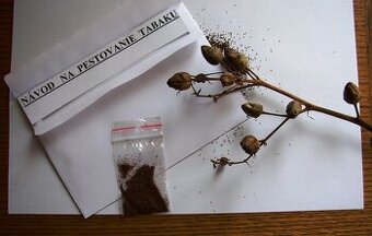 Tabakové semená - Kolekcia 8 druhov semien