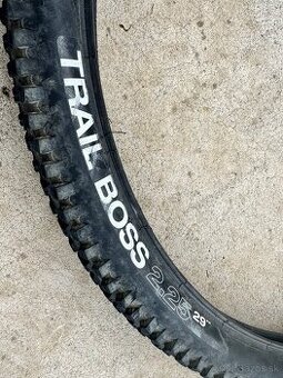 WTB TrailBoss 2.2