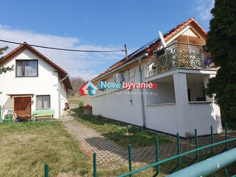 Predaj, 2 zrekonštruované viničné domy-Levice (N028-13-MAHA)