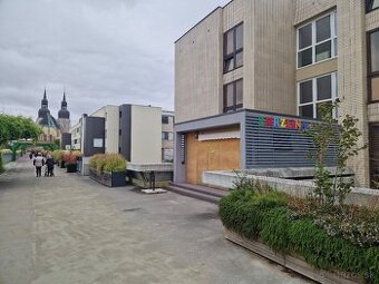 Predavačka zmrzliny