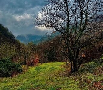 Závada – 1.834 m2 LESOV (Urbáru) – PREDAJ