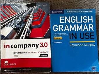 Incompany 3.0, English granmar in use