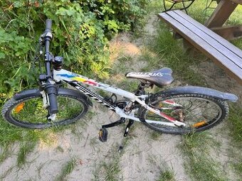 Juniorský bicykel Scott Scale 24"Jr