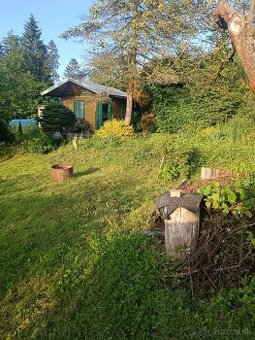 Chatka na Bôriku - záhradky Kamélia