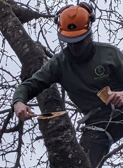 Starostlivosť o zeleň, kosenie,výrub stromov, pilčícke práce