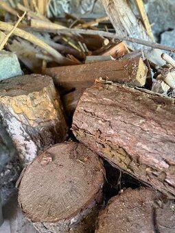 Darujem drevo na kurenie - 1