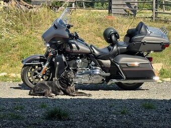 Harley davidson elektra ultra