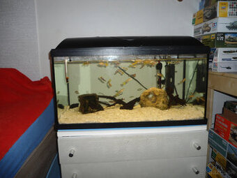 Akvárium 50 l