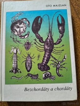 OTO MAJZLAN Bezchordáty a chordáty