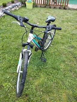 Dámsky bicykel horský CTM