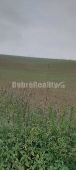 Exkluzívne Orná pôda Nitra - Kynek