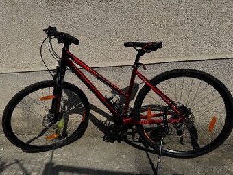 Kellys Clea 90 M red