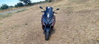 Maxon 300 discover