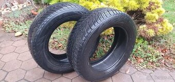 NOKIAN, ZIMNE, CELOROCNE, 225/60 R17 - 1