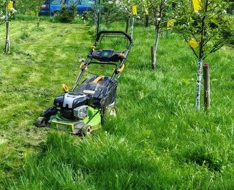 Fieldmann FZR 51 24-BV