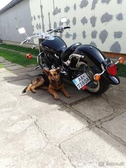 Yamaha dragstar 650 Možná výmena