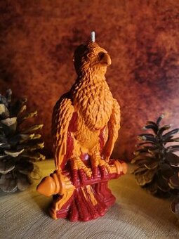 Fénixova sviečka, Harry Potter. Nova