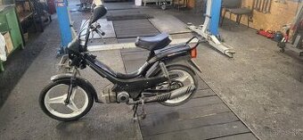 Predám Manet Korádo