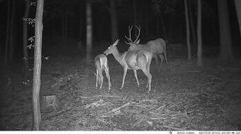 Fotopasca HC900M, GSM, MMS, EMAIL + KARTA 32GB