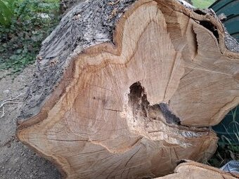 ČEREŠNOVÉ DREVO,NAREZANE NA PLATY KUS/30 EUR