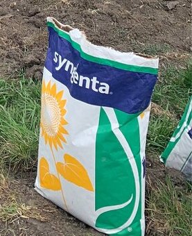 Osivo slnečnica Syngenta SY Bacardi CLP