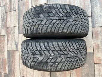 Pneumatiky Nexen 225/50 r17 celoročne