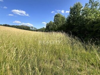 Na predaj: Pozemok na samote u Rehušov pri Prietrži – 2...